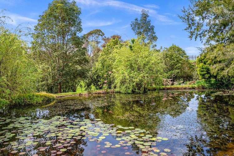 59E Riddell Road Kerikeri_25