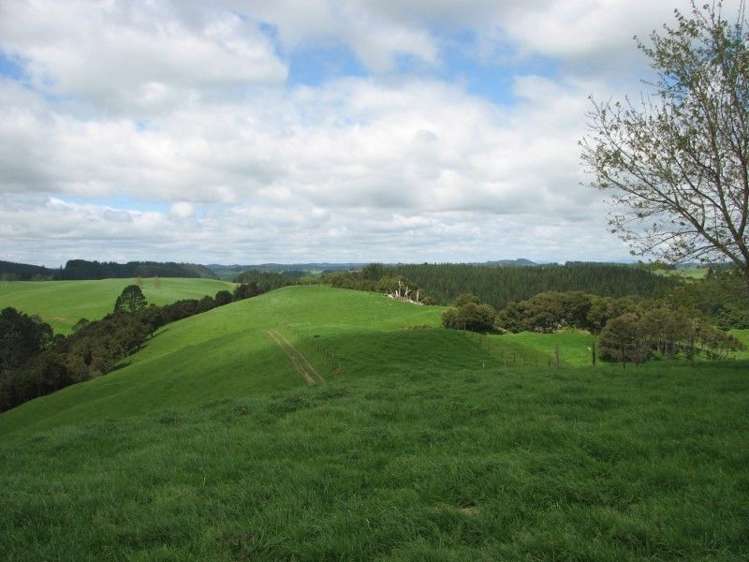 53 Worth Road Putaruru_23