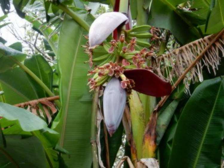 45 Hokianga Harbour Drive Opononi_10