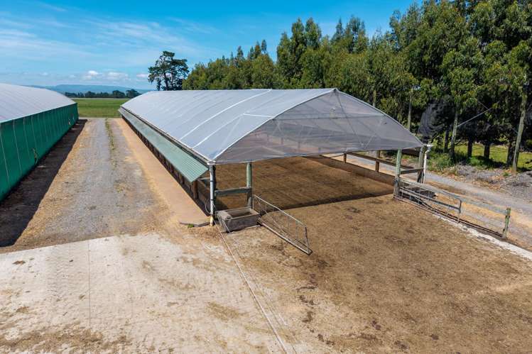 493 Smith Road Dannevirke_6