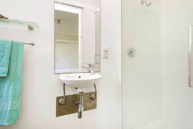 29C Pukatea Street Eastbourne_4