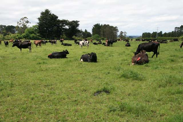 147 Monmouth Road Pembroke_1