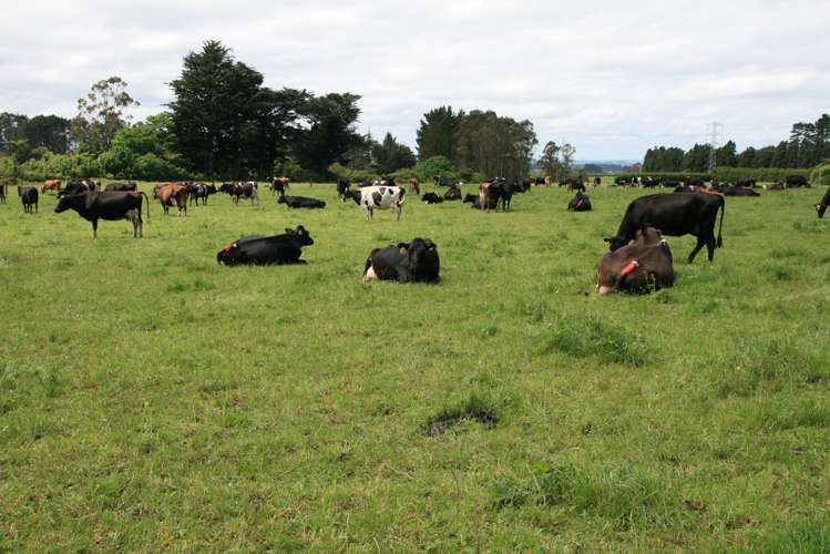 147 Monmouth Road Pembroke_1