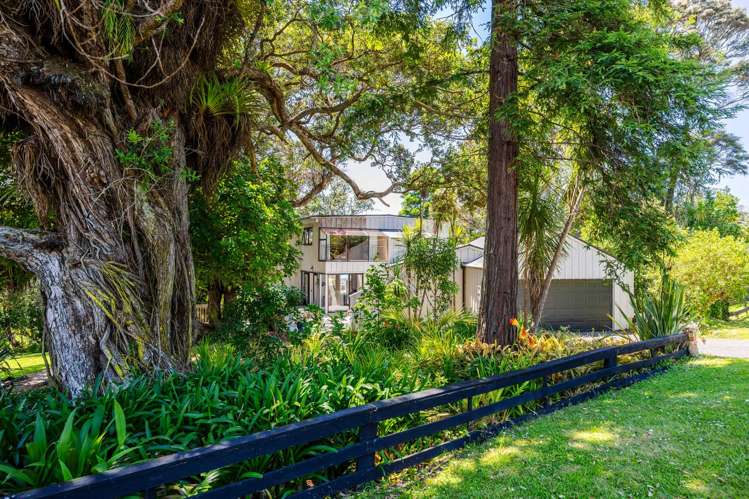 64 Ridge Road Mahurangi East_36