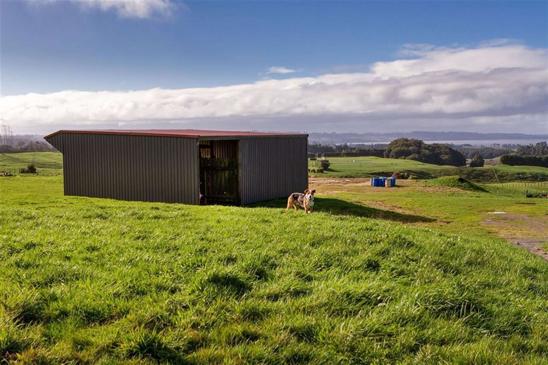 432a Dansey Road Ngongotaha Valley_0