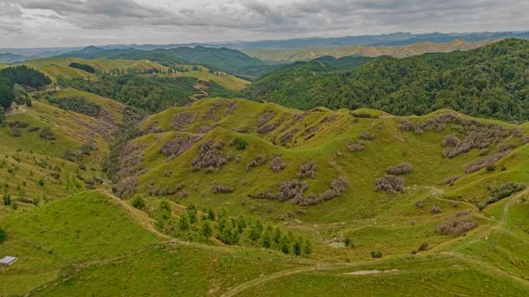 240 Agnews Road Hunterville_5