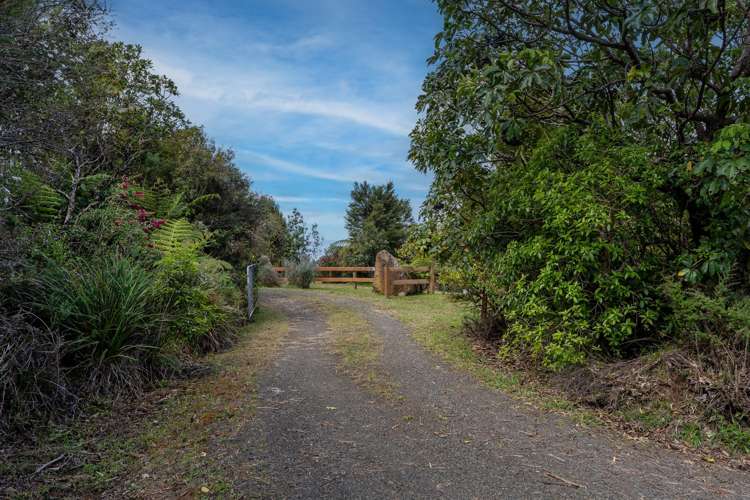 158 Silverstream Falls ROW Whitianga_53