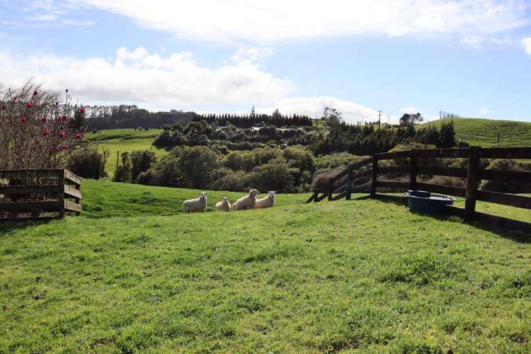 772 Upland Road Egmont Village_25