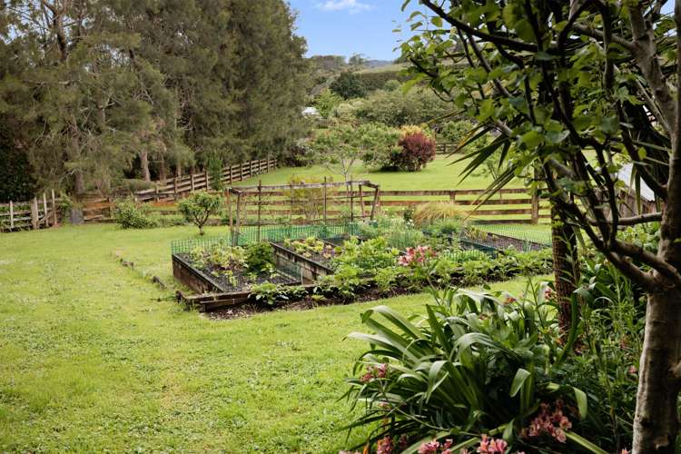 390d Old Highway Whakamarama_6