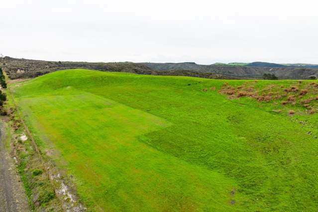 State Highway 12 Mamaranui_3