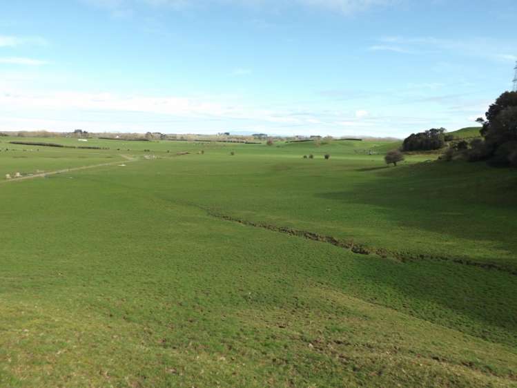 365 Tauhei Road Morrinsville_12