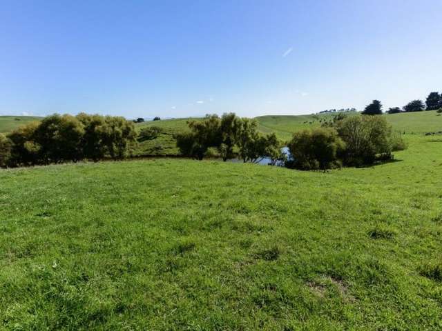 456 Te Onepu Road Central Hawkes Bay Country_2