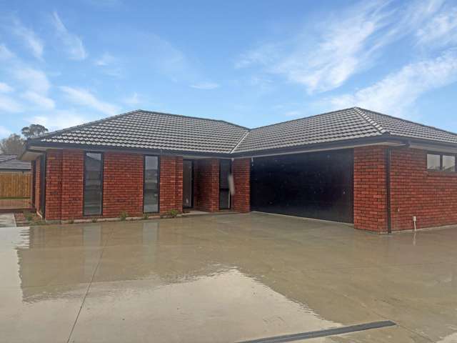 16b Turoa Street Feilding_2