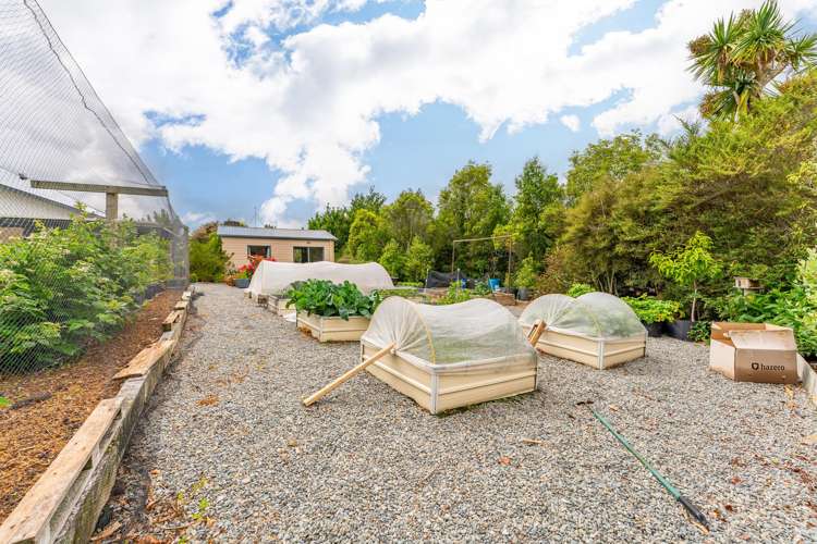 263 Downs Road Geraldine Downs_20