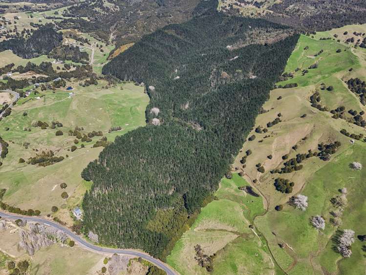 2458 Paparoa-Oakleigh Road Maungaturoto_1