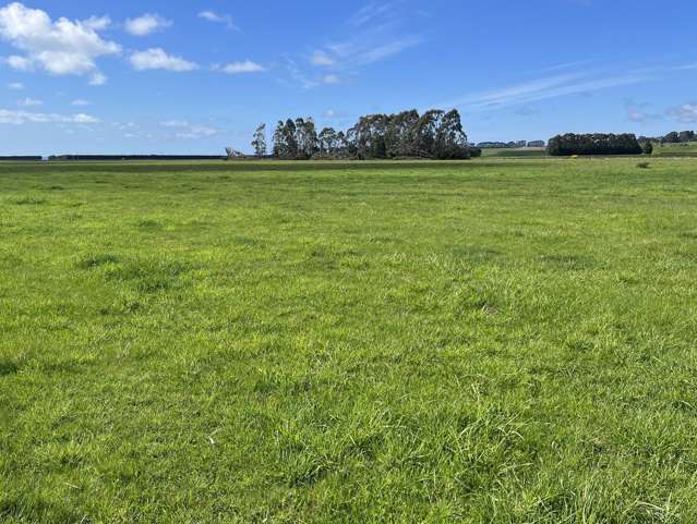 Bare Land - 112.3ha