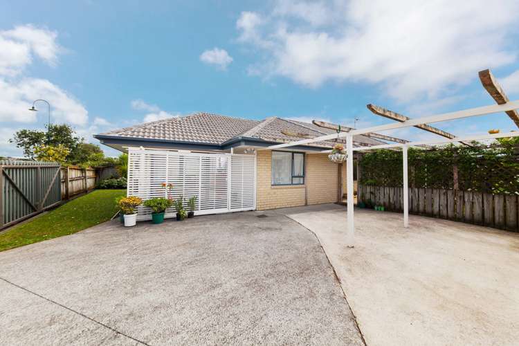 17 Robin Brooke Drive Flat Bush_1