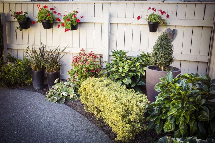 7 Weatherfield Mews Taradale_8