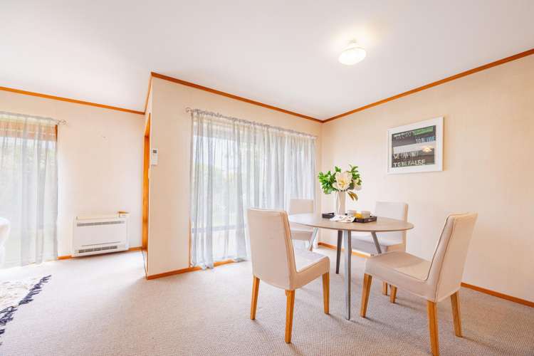 2/411 Eastbourne Street East Hastings_2