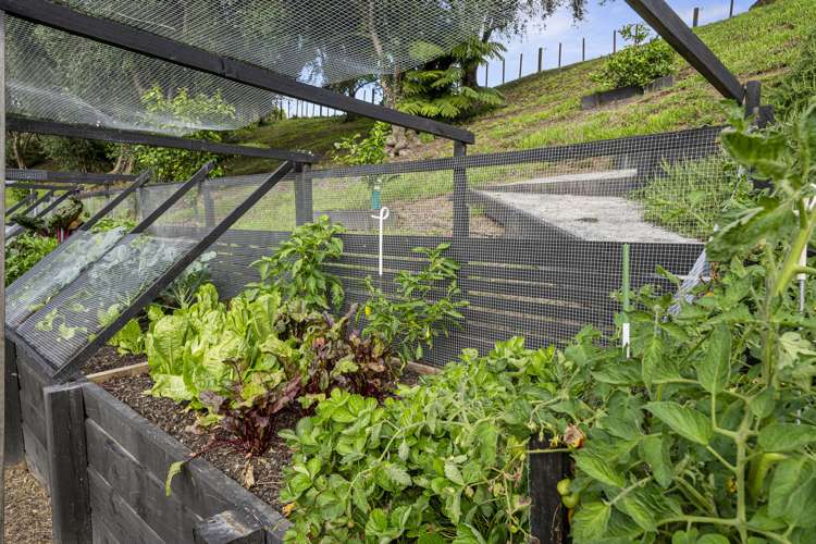 987 Peak Road Helensville_18