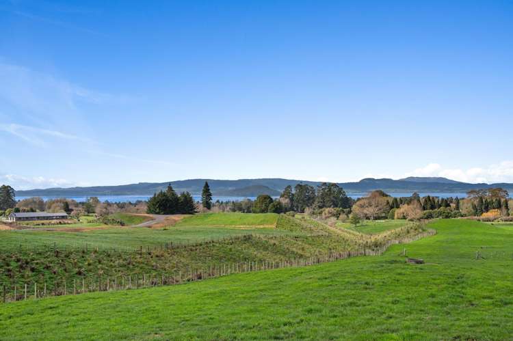 Stage 2, Dibley Drive Hamurana_10