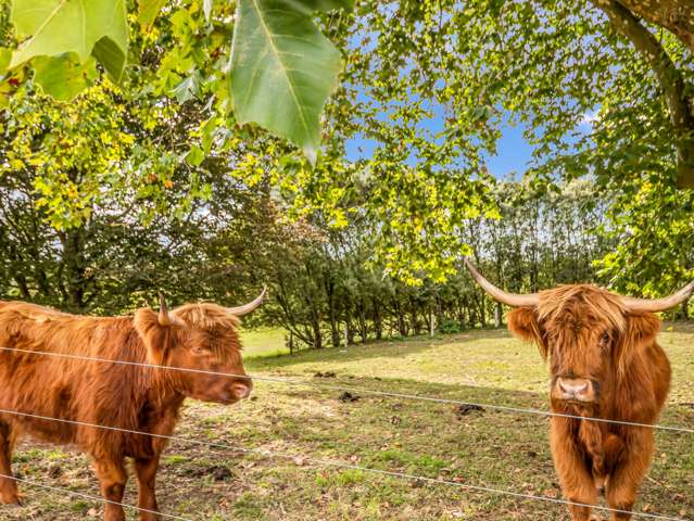 4683 Ohaupo Road Ohaupo_4