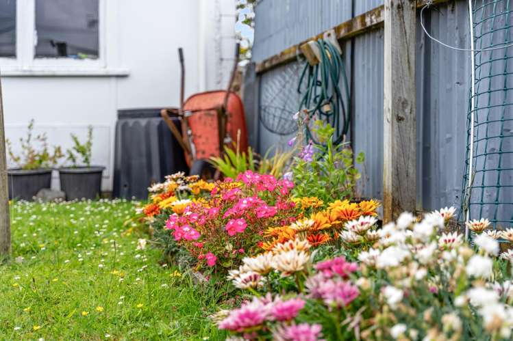 4 Rata Street Levin_16