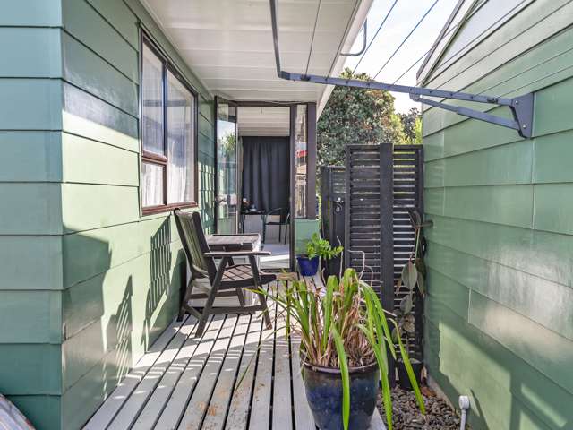 31 Balmoral Street Levin_1