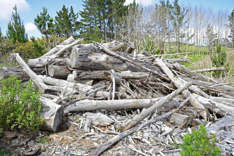 960 Oneriri Road Kaiwaka_6