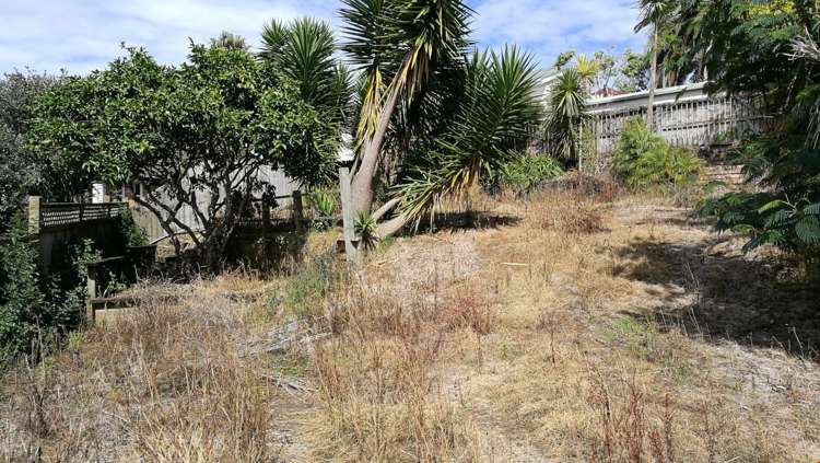 5b Boyd Avenue Royal Oak_4