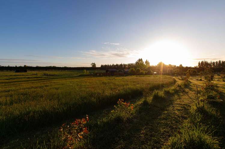 183 Terrace Road Cust_18