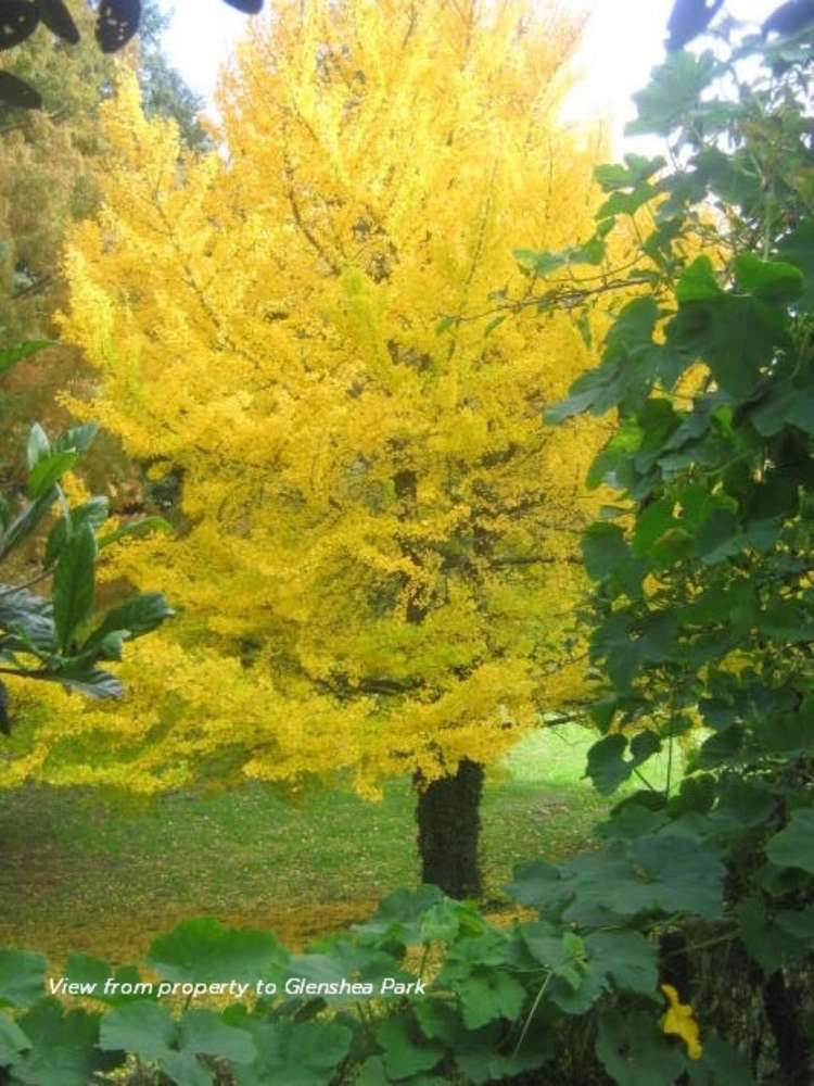 50 Overdale Street Putaruru_17