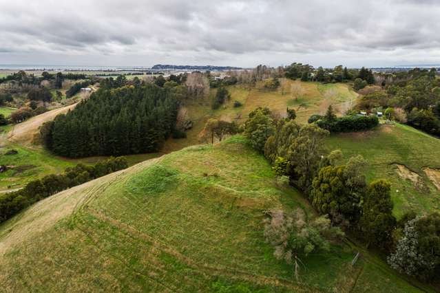 Puketitiri Road Puketapu_3