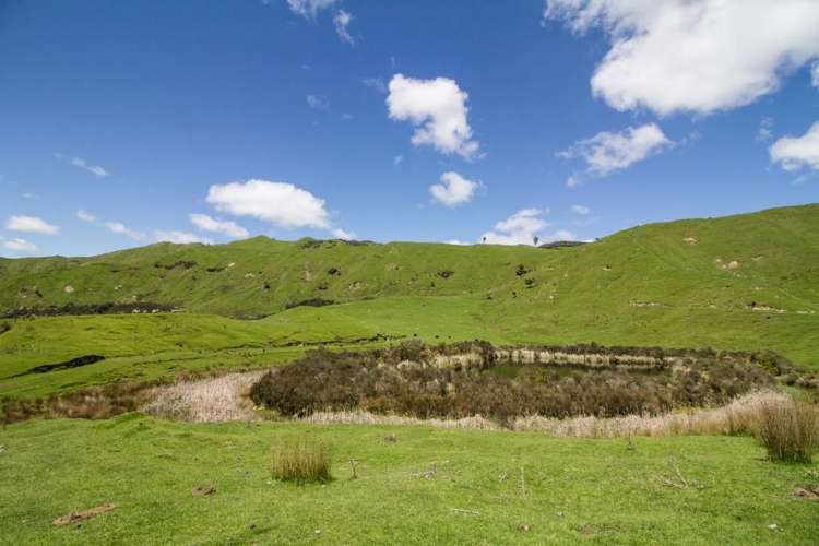 4064 State Highway 4 Kakatahi_17