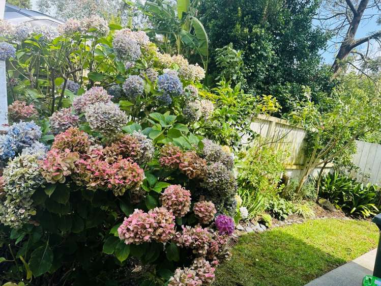 27 Sunshine Boulevard Sunnyvale_13