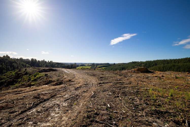 Supplejack Valley Road Upper Moutere_13