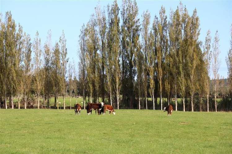 758 Gore Mataura Highway Mataura_9