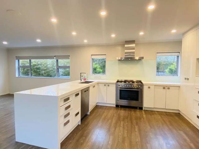 45 Ellis Avenue Mount Roskill_2