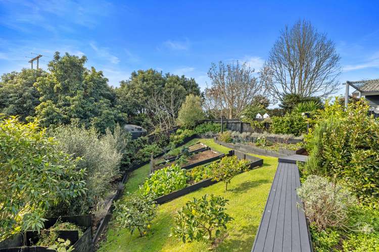 554 Rangiuru Road Te Puke_4