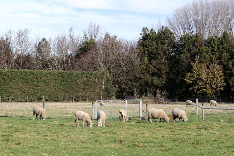 306 Beach Road East Elgin_25