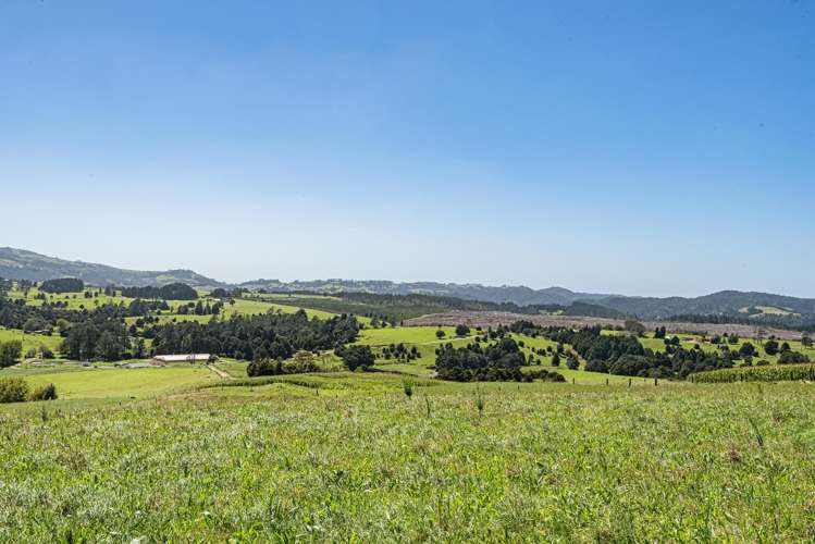 731 Puhipuhi Road Whakapara_31