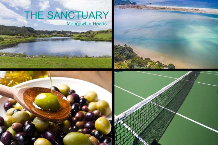 16 Woodleigh Lane Mangawhai_11