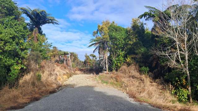 Lot 5 Wilsons Lead Road Cape Foulwind_3