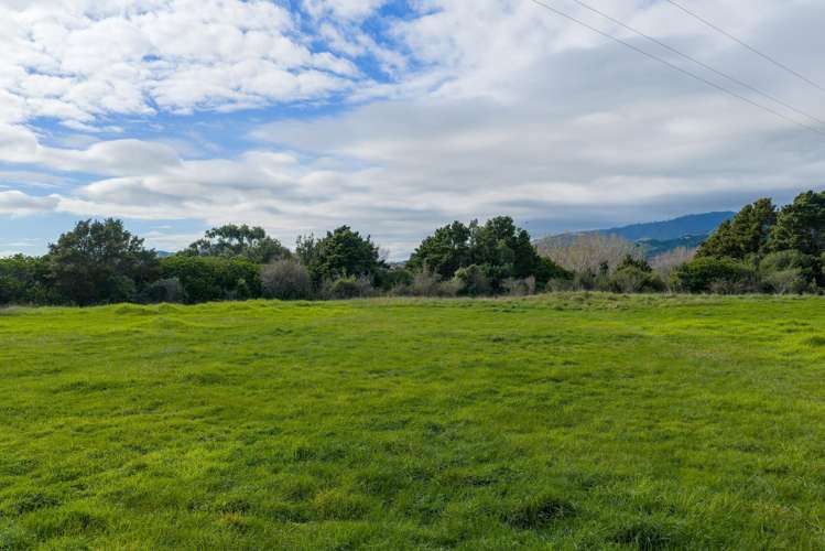 59 Harper Road Hautere_1