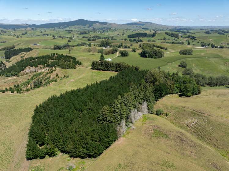 536 Morgan Road Richmond Downs_33