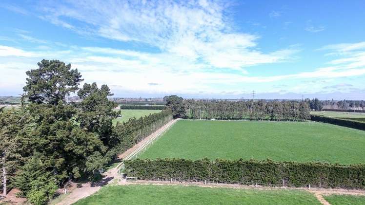 263 Oxford Road Fernside_7