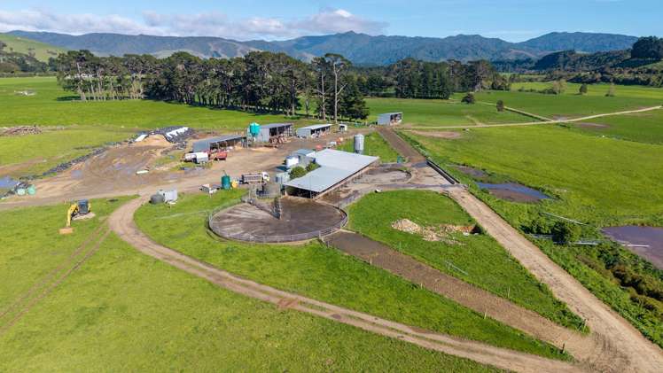 886 Kakariki Road Eketahuna_9