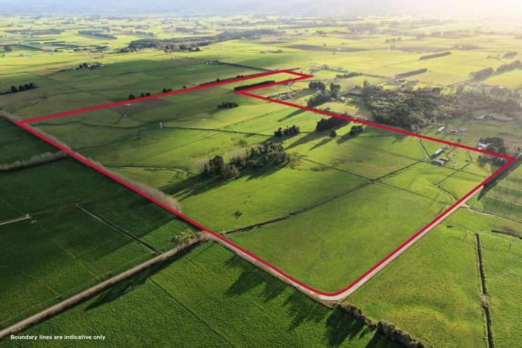 326 Cornwall Road East Taratahi_5