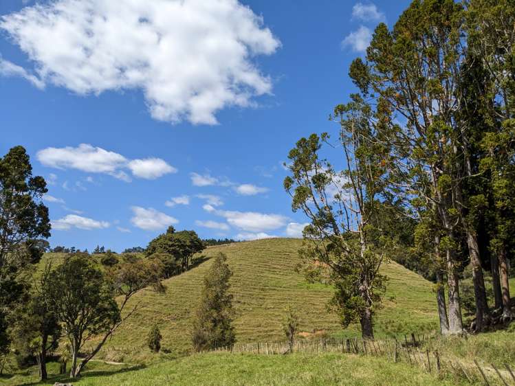 360 Burnside Road Makarau_30