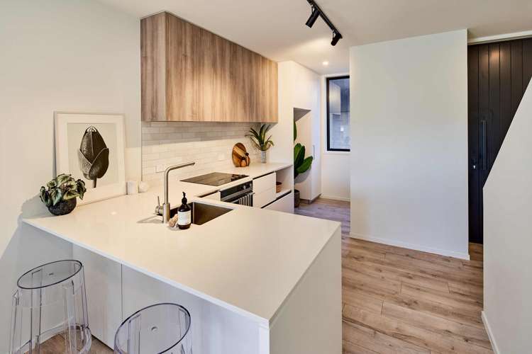 15 Ara Toutouwai Karori_7